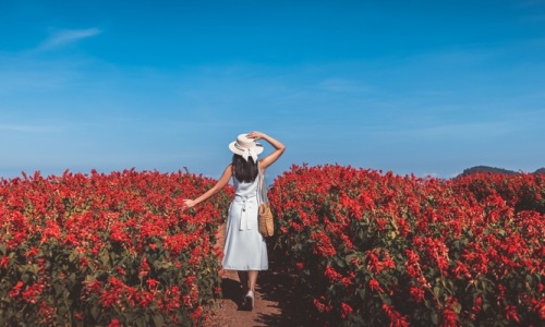 Woman walking through red flowers