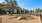 FLATZ 830 Dog Park