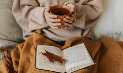 Learn more about FLATZ 830 Cover Image